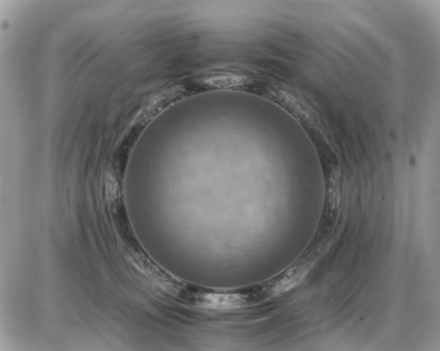 X0000086770371200704131148