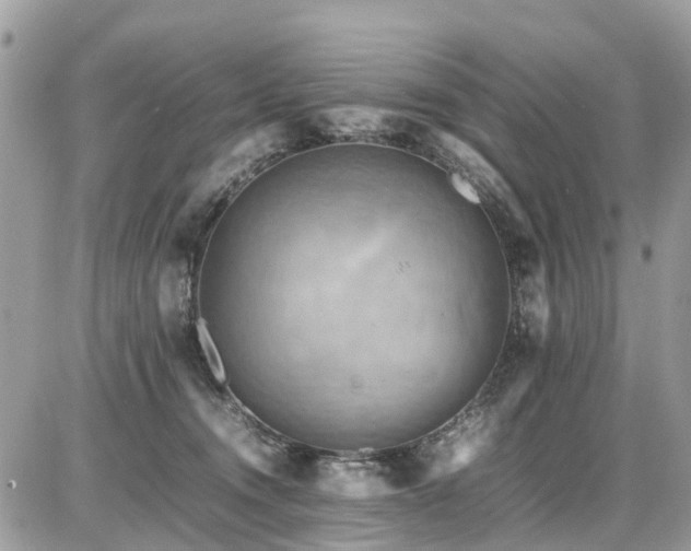 X0000086770372200704131148