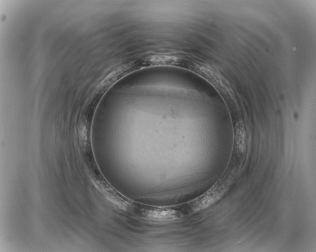X0000086770375200704131148