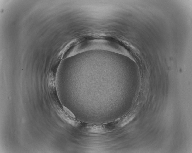 X0000086770384200704131148