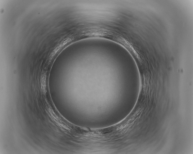 X0000086770386200704131147