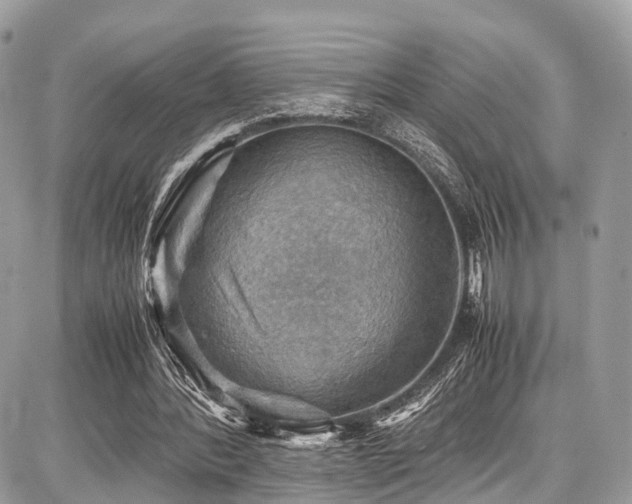 X0000086770388200704131147