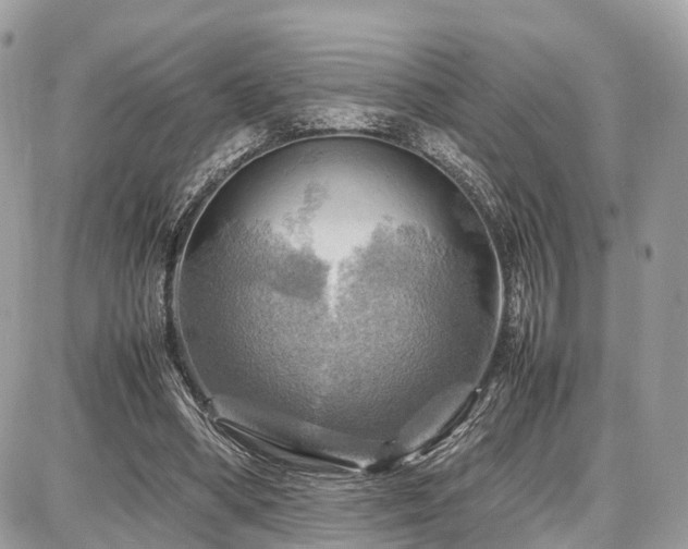 X0000086770394200704131147