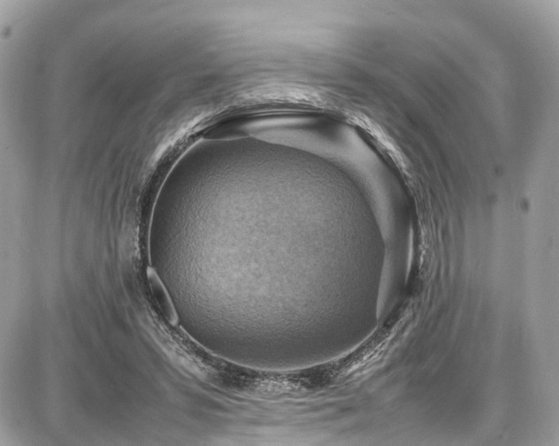 X0000086770399200704131147
