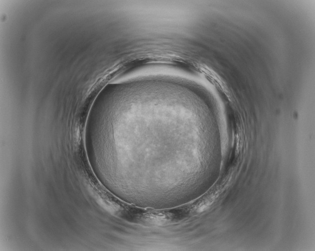 X0000086770405200704131147