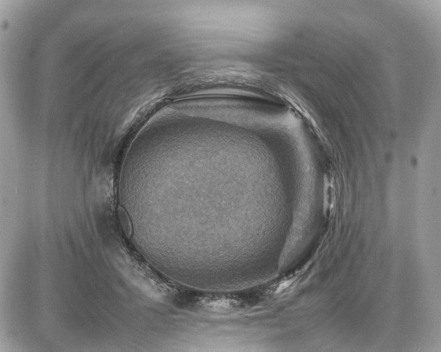 X0000086770407200704131147