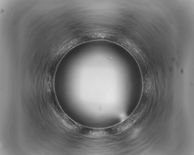 X0000086770414200704131147