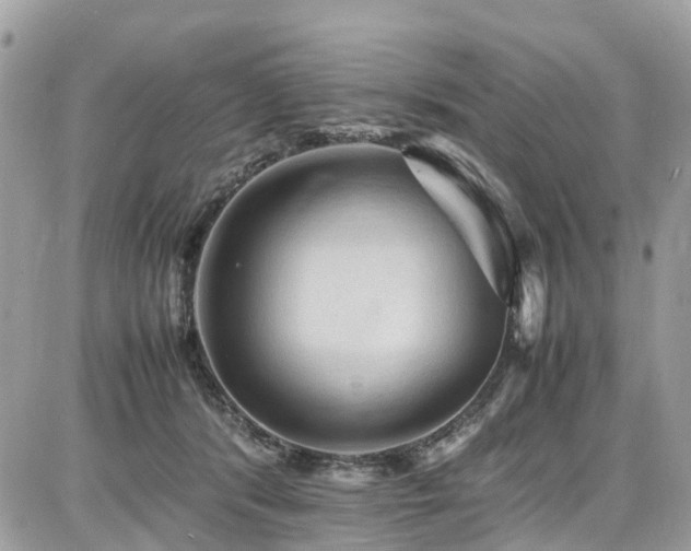 X0000086770416200704131147