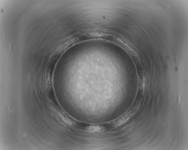 X0000086770418200704131146