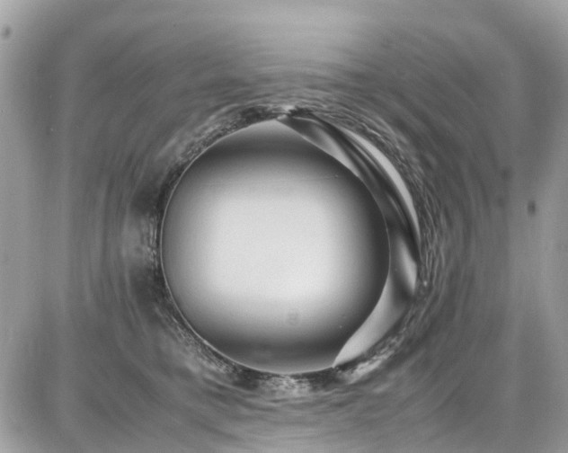 X0000086770421200704131146