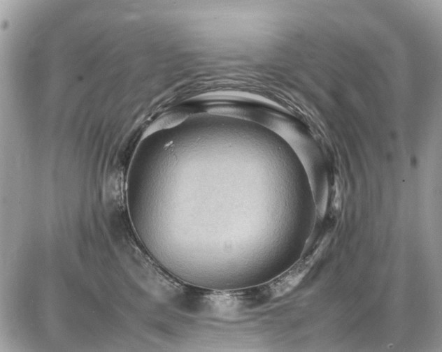 X0000086770425200704131146