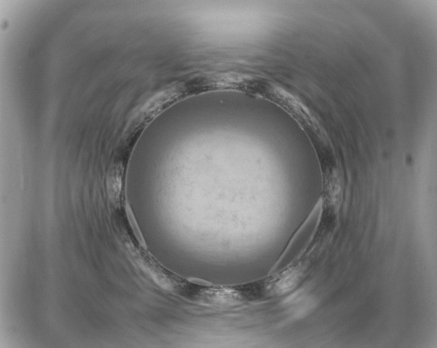 X0000086770427200704131146