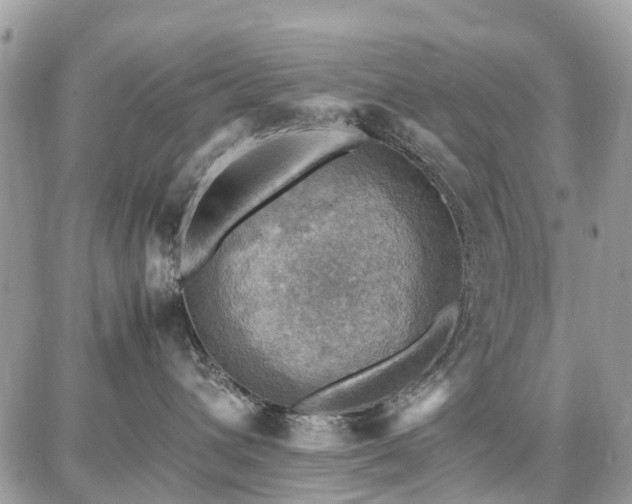 X0000086770432200704131146