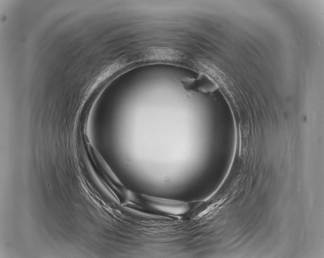 X0000086770435200704131145