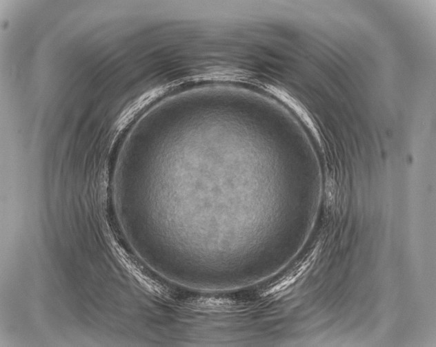 X0000086770437200704131146