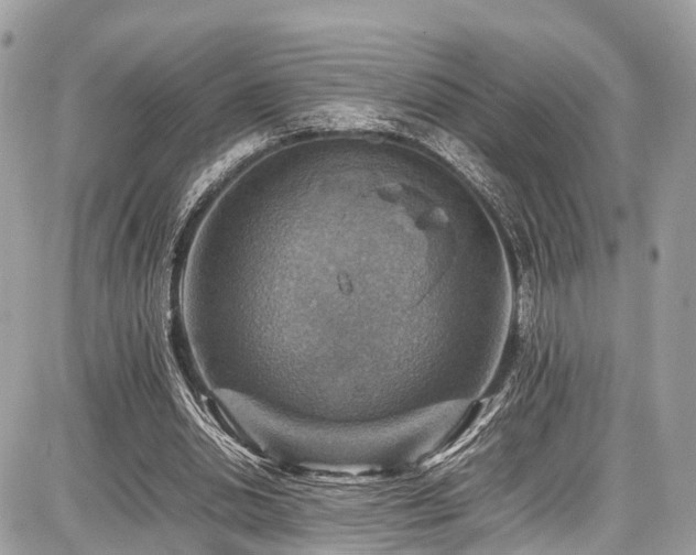 X0000086770438200704131146