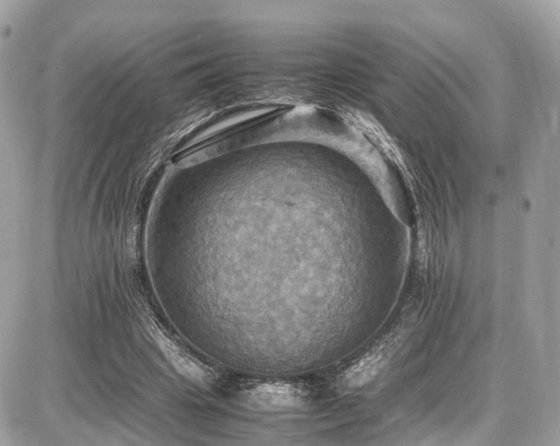 X0000086770441200704131146