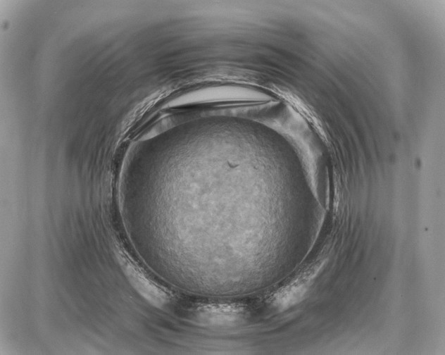 X0000086770445200704131146