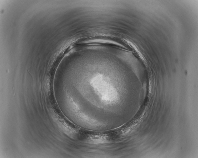 X0000086770447200704131146