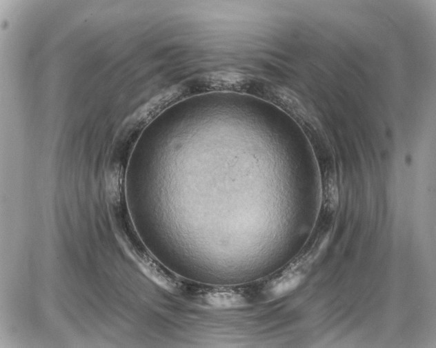 X0000086770468200704131146