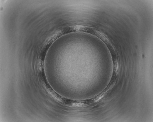 X0000086770470200704131146