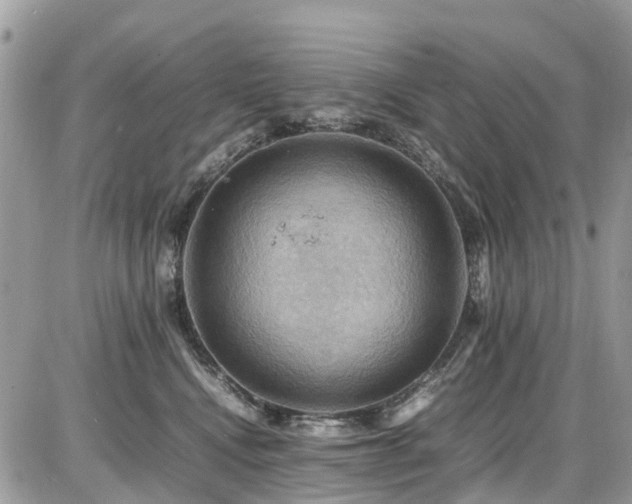 X0000086770472200704131146