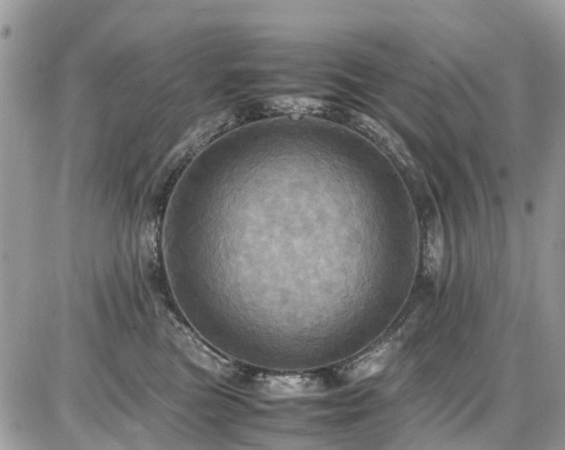 X0000086770473200704131146