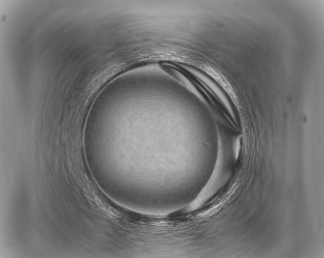 X0000086770481200704131145