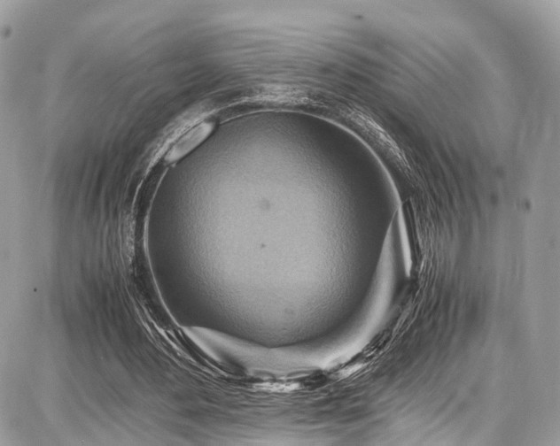 X0000086770484200704131145