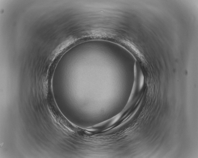 X0000086770488200704131145