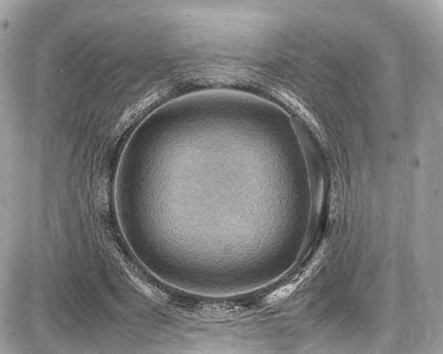 X0000086770489200704131145