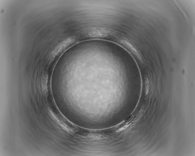 X0000086770490200704131145