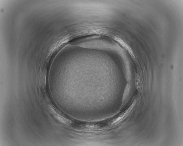 X0000086770493200704131145