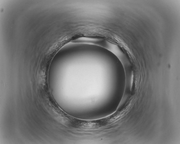 X0000086770497200704131145