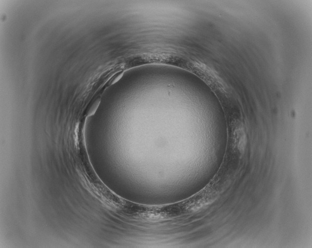 X0000086770498200704131145