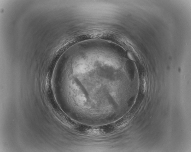 X0000086770499200704131145