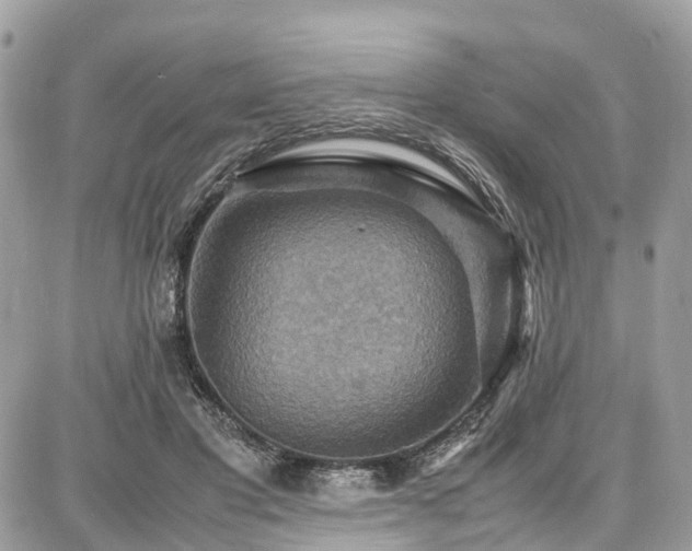 X0000086770501200704131145