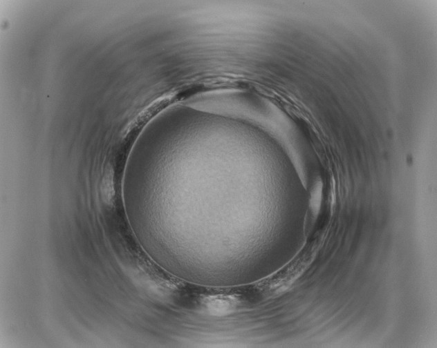 X0000086770508200704131145