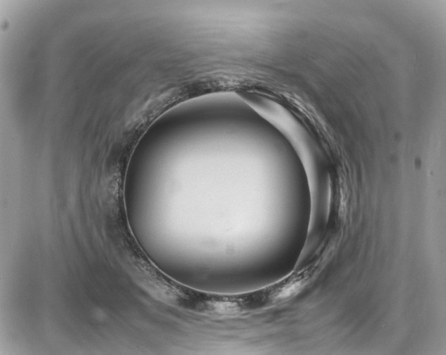 X0000086770509200704131145