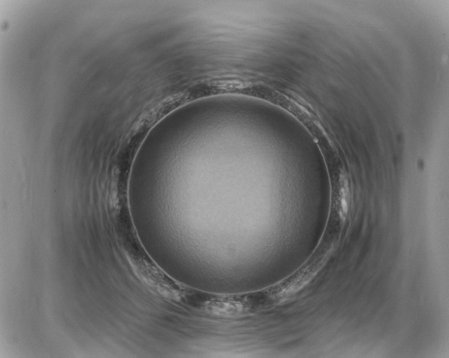 X0000086770512200704131145