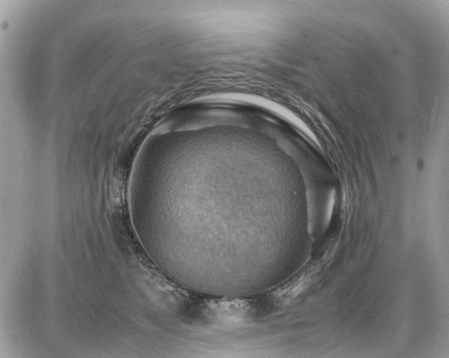 X0000086770517200704131145