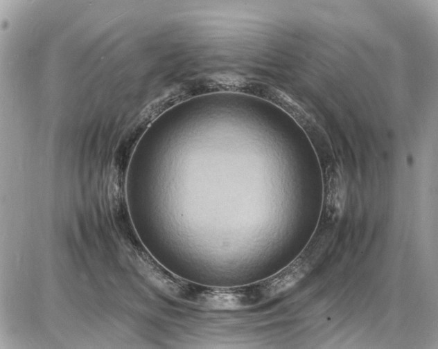 X0000086770518200704131145