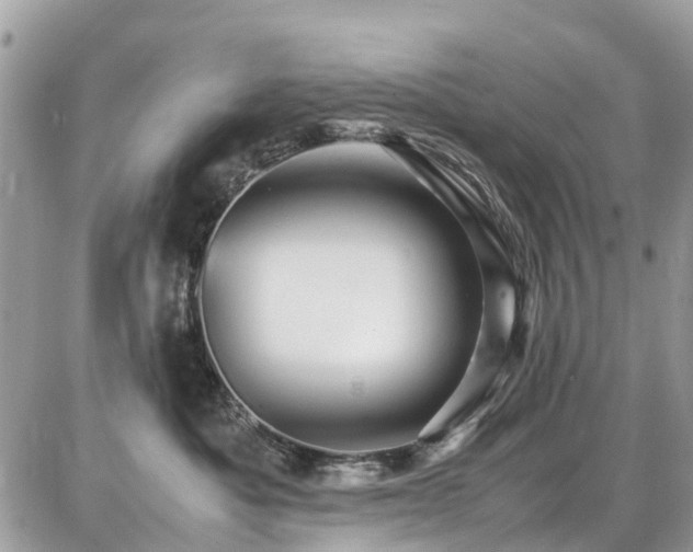 X0000086770525200704131145