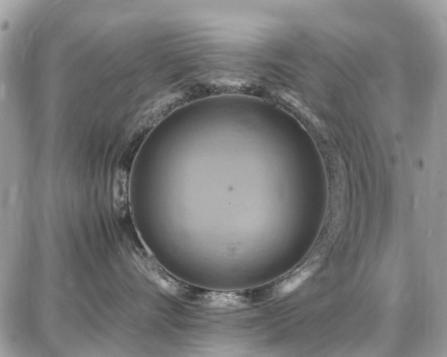 X0000086770528200704131145