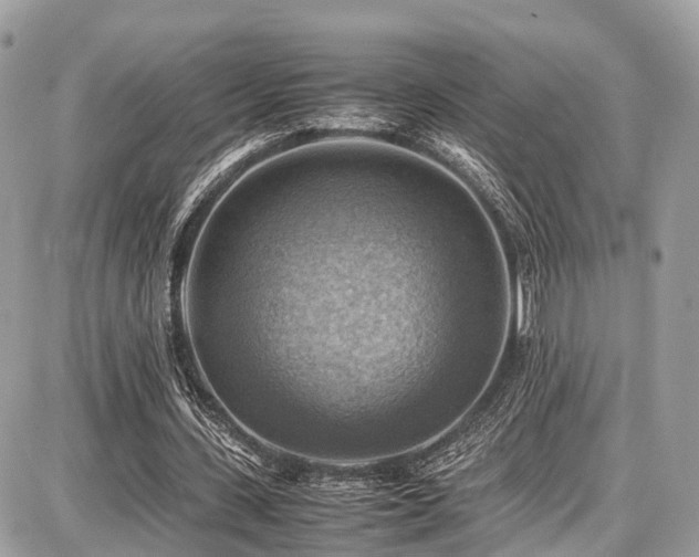 X0000086770531200704131144