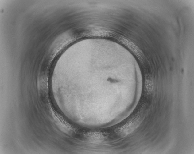 X0000086770534200704131144