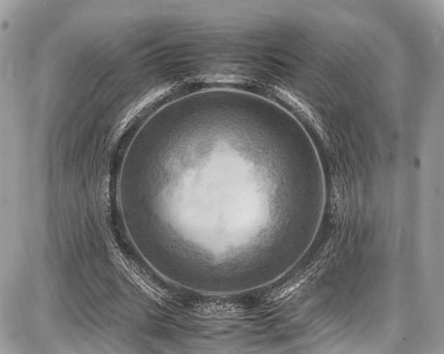 X0000086770535200704131144