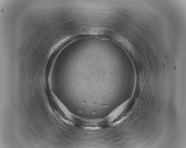 X0000086770536200704131144