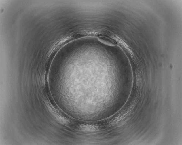 X0000086770537200704131144