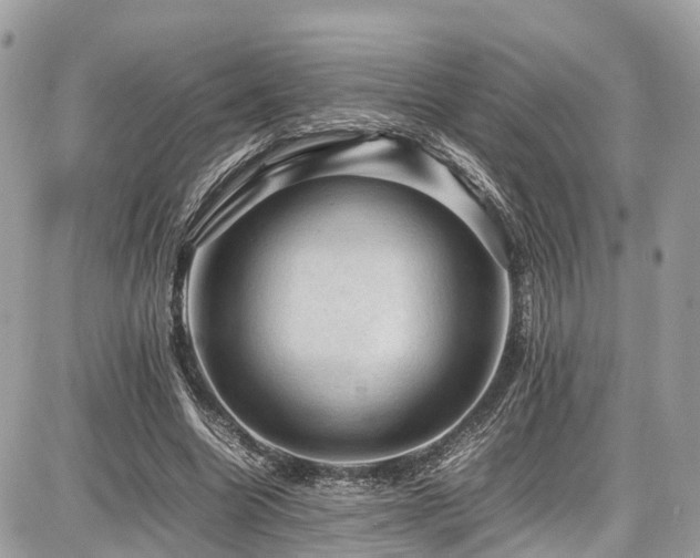 X0000086770538200704131144